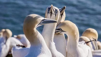 开云体育网页版入口-天津女排夺联赛第13冠 江苏因伤变阵失副攻配合