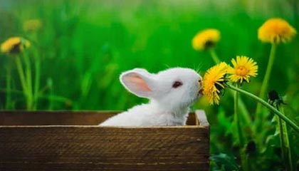 星空体育官方入口：开启全新观赛与健身生态